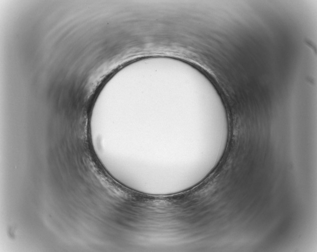 X0000101431507200807280949