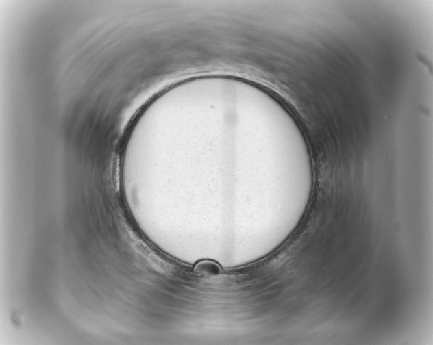 X0000101431510200807280949