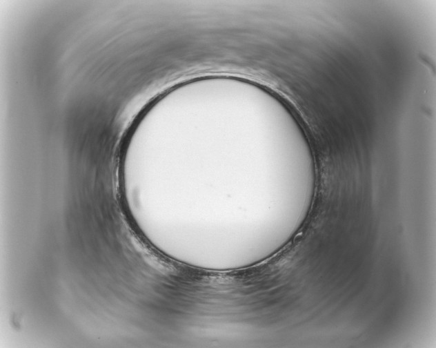 X0000101431511200807280949