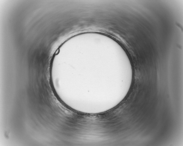 X0000101431512200807280949