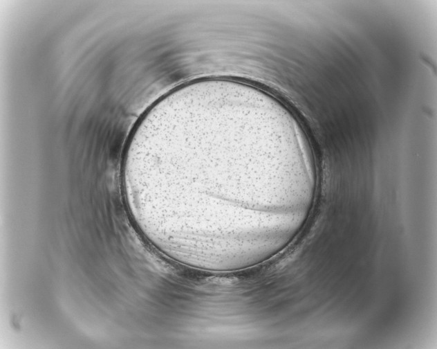 X0000101431513200807280949