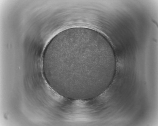 X0000101431514200807280949