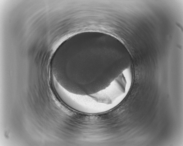 X0000101431515200807280949