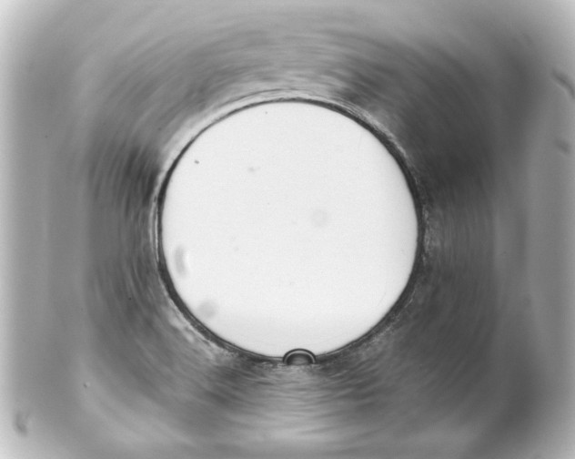 X0000101431516200807280949