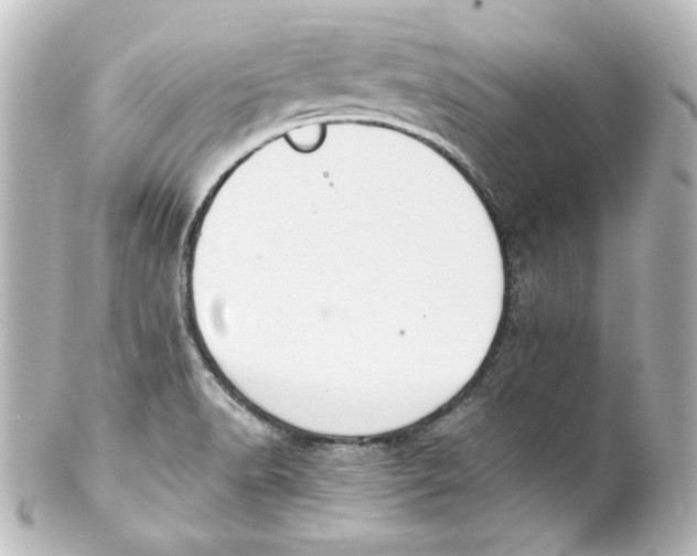 X0000101431518200807280949