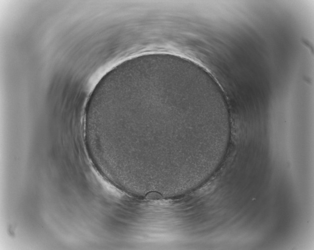 X0000101431519200807280949