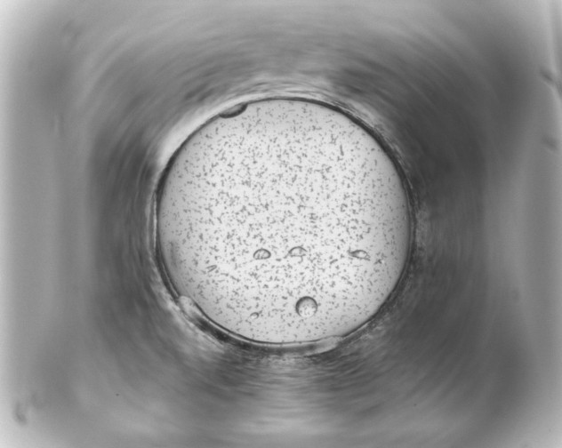 X0000101431520200807280949