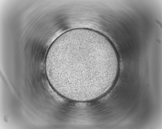 X0000101431521200807280949