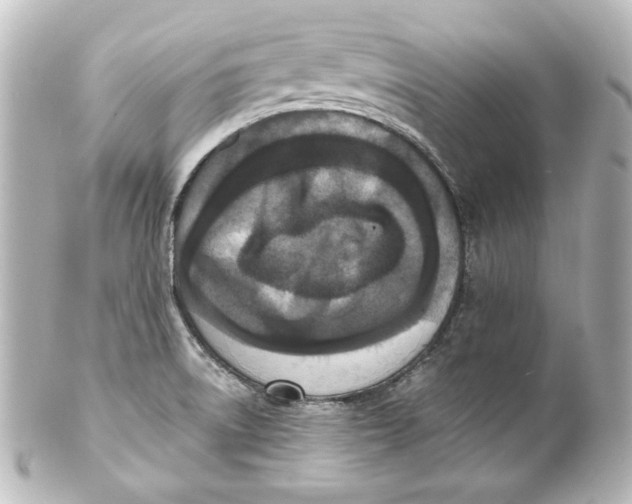 X0000101431522200807280949