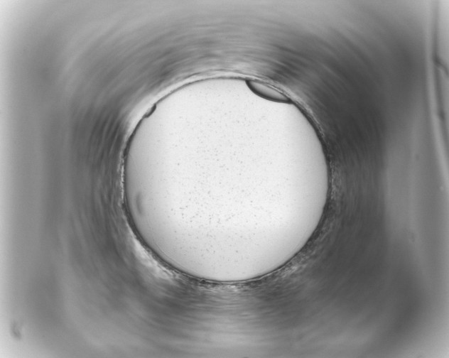 X0000101431524200807280949