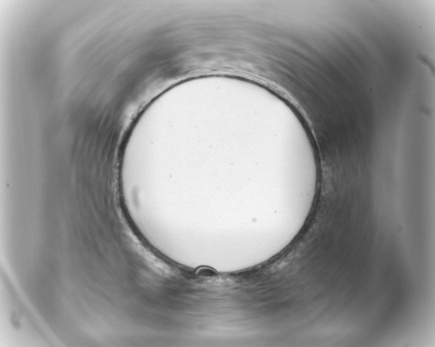 X0000101431525200807280949