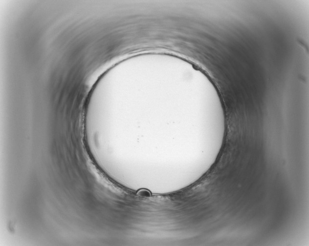 X0000101431526200807280949