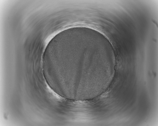 X0000101431527200807280949