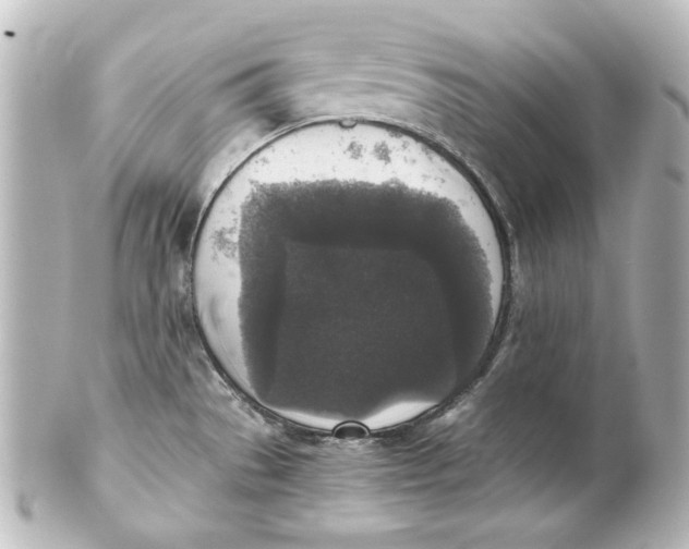 X0000101431529200807280949