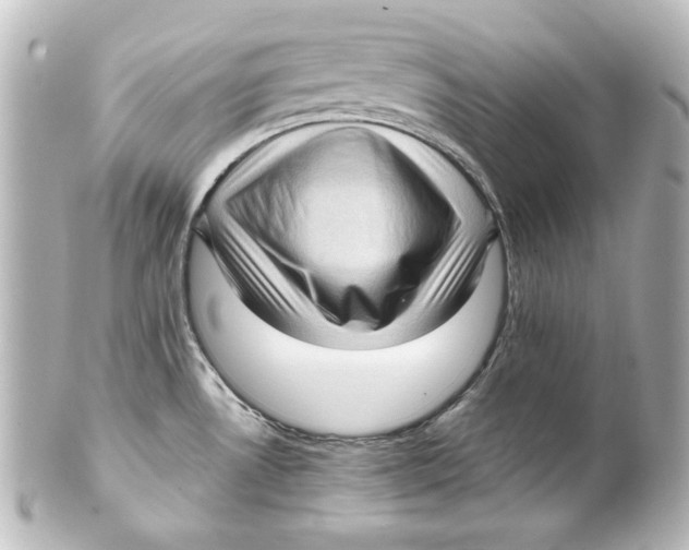 X0000101431530200807280949