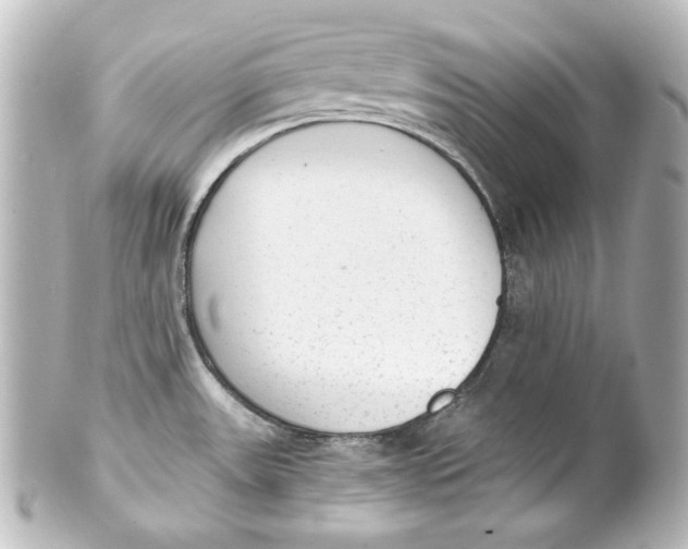 X0000101431531200807280949