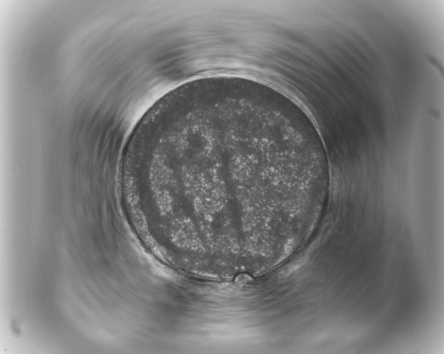 X0000101431533200807280949