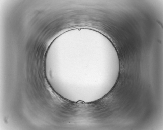 X0000101431534200807280949