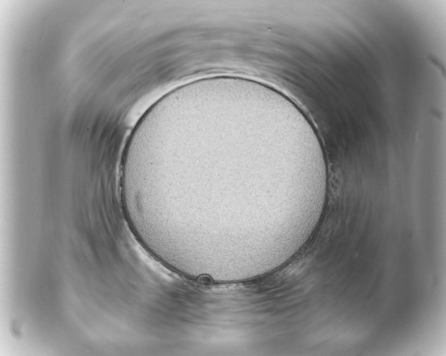 X0000101431535200807280949