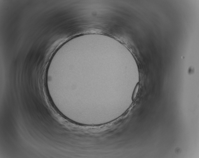 X0000101430001200808041202