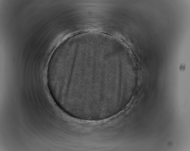 X0000101430002200808041202