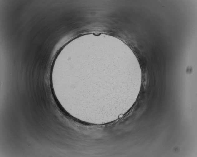 X0000101430004200808041202