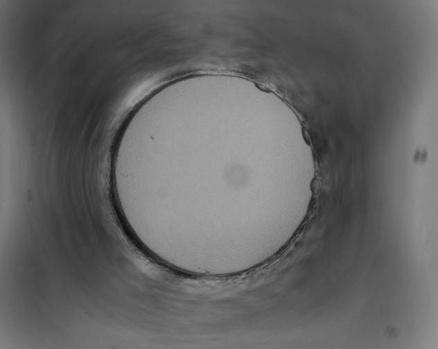 X0000101430005200808041202