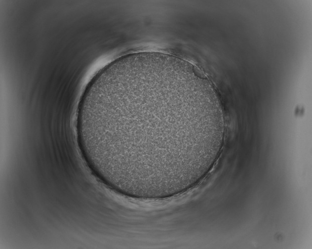 X0000101430006200808041202