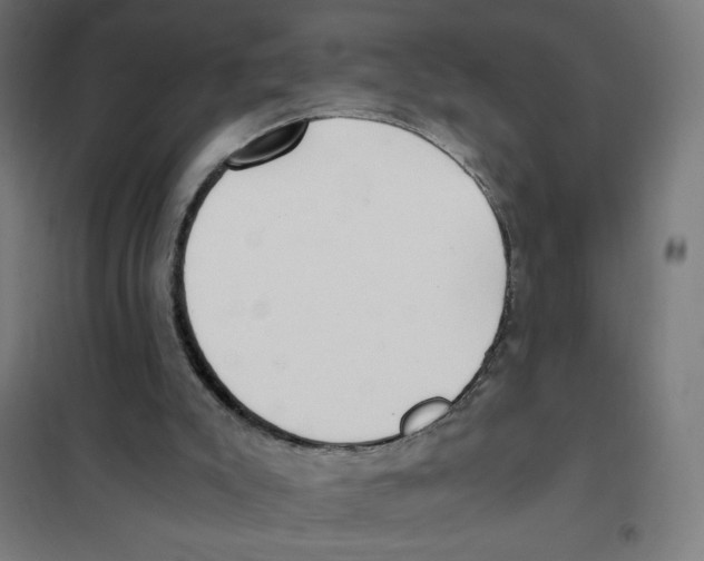 X0000101430007200808041202