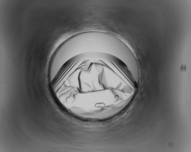 X0000101430008200808041202