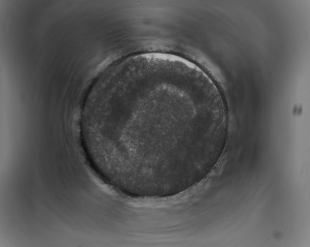 X0000101430009200808041202