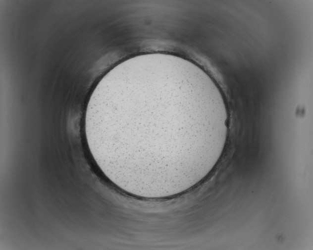 X0000101430010200808041202