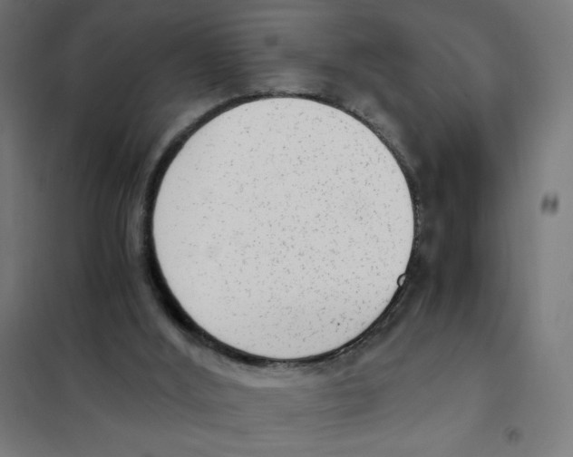 X0000101430012200808041202