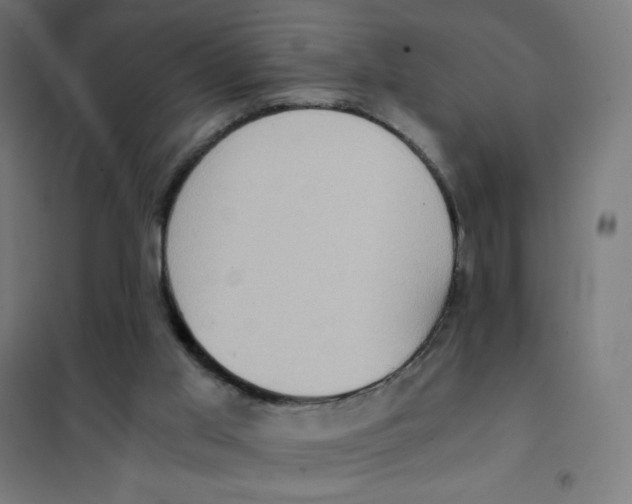 X0000101430013200808041202