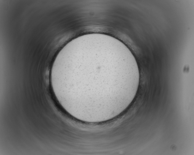 X0000101430014200808041202