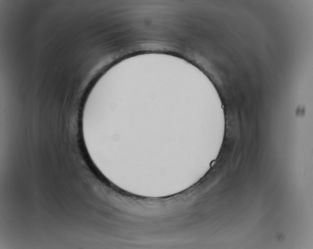 X0000101430015200808041202