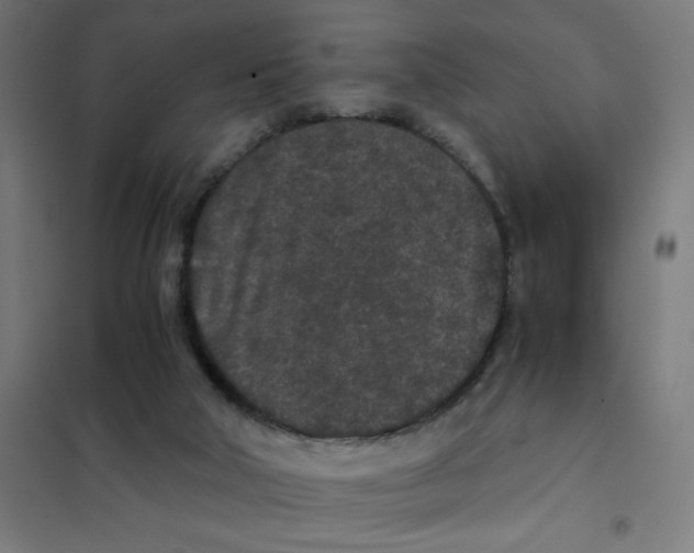 X0000101430018200808041202