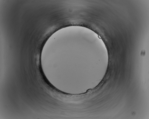 X0000101430019200808041202