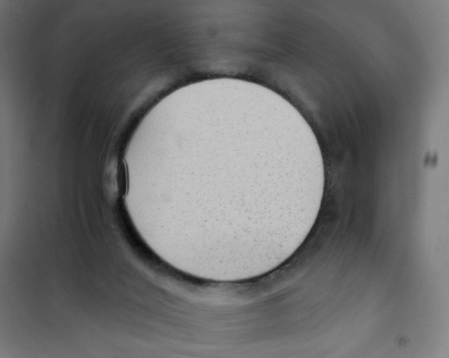 X0000101430020200808041202