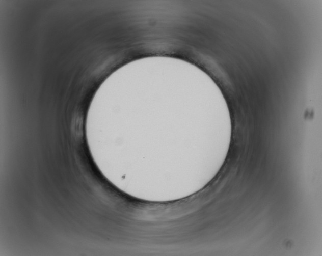 X0000101430021200808041202