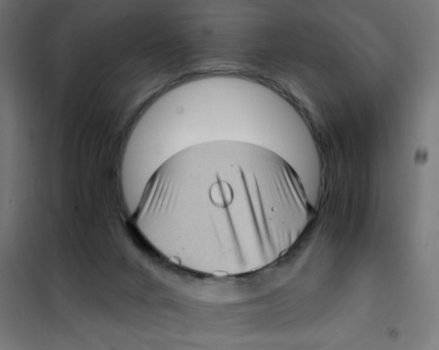 X0000101430024200808041202