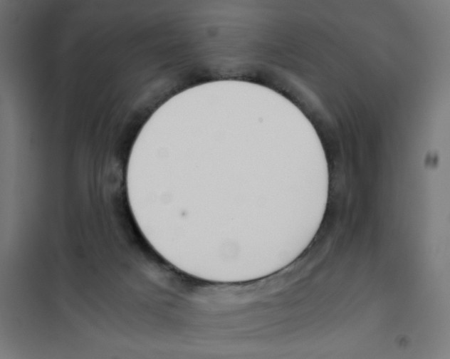 X0000101430025200808041202