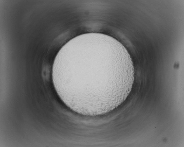 X0000101430026200808041202