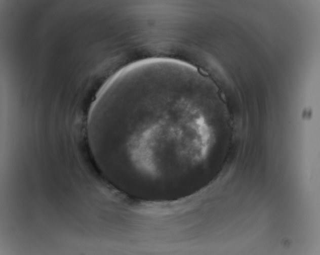 X0000101430029200808041202