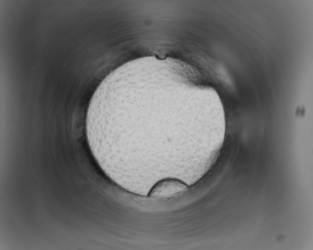 X0000101430030200808041201