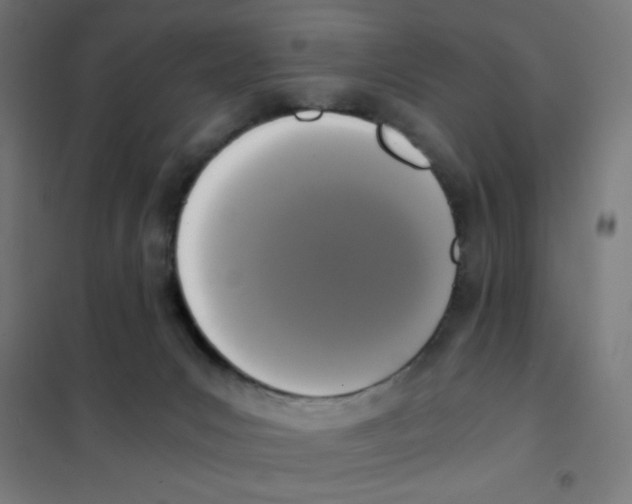 X0000101430031200808041201