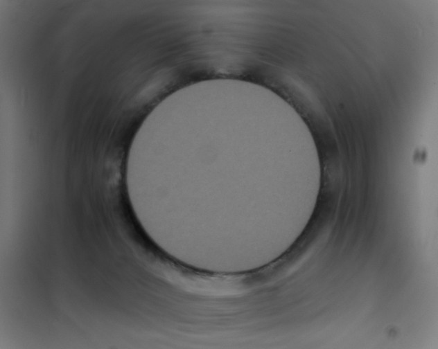 X0000101430032200808041201