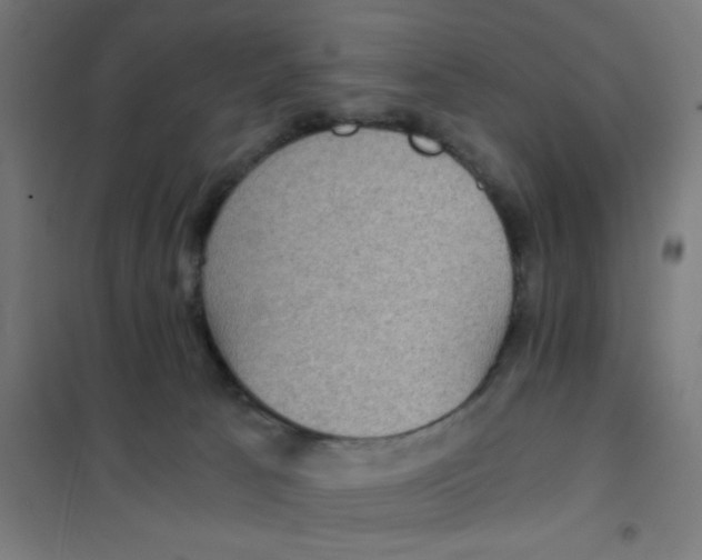 X0000101430033200808041201