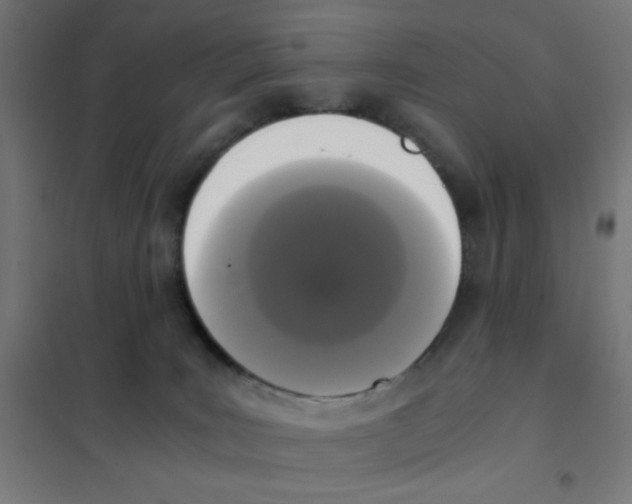 X0000101430035200808041201