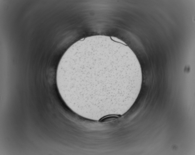 X0000101430036200808041201